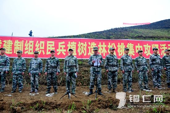 铜仁军分区成建制组织民兵植树造林松桃集中攻