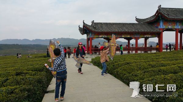 全国经济总量前十的民族县_民族团结手抄报(3)