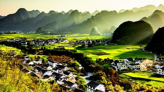 春明景和畅游贵州花海_铜仁网