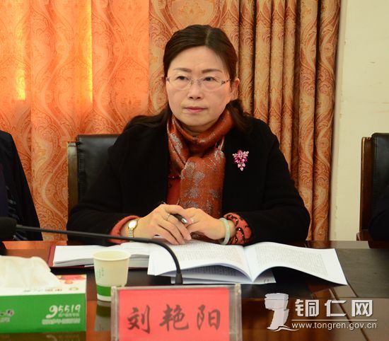 市政府就2018年政府工作报告分别征求两代表