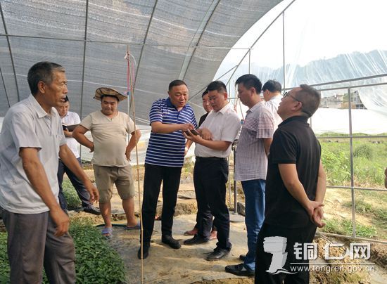 沿河:春风行动出战果 策马扬鞭再奋蹄