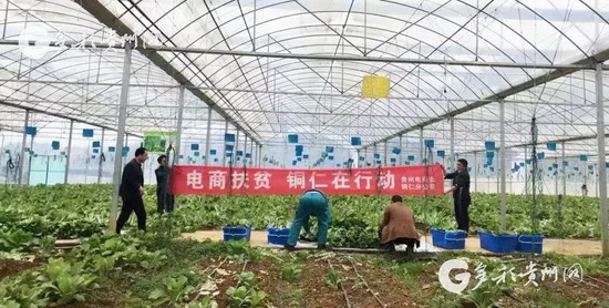 微信图片_20190322094142_调整大小