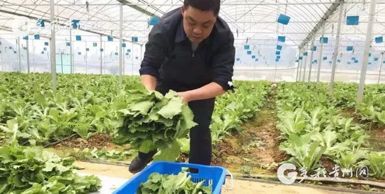 微信图片_20190322094148_调整大小