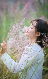 秋韵芭茅佳人来