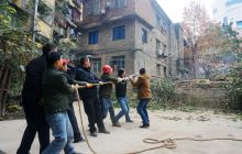 市园林局及时清除老地委小区内危树