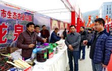德江举办首届农特产品网商“年货节”