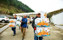 岁岁深冬蓄风寒 浓浓爱意满世间