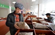 铜仁：朵汝苗医继承民族健康产业