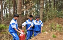 德江一中开展学雷锋义务活动