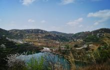 路腊开展“野樱花”观赏月活动