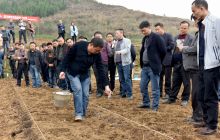 全市烤烟整地待栽现场推进会在石固乡召开