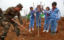 铜仁开展2016植树活动