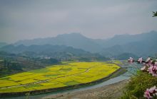 碧江瓦屋油菜花观光月暨山地旅游开幕式活动剪影