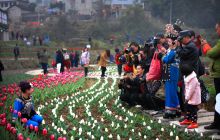 郁金香节暨市老摄影协会联谊活动在白水村举行