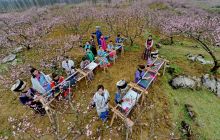 阳春三月绣“桃花”