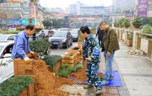 碧江区加大环卫治理工作力度美化城市形象