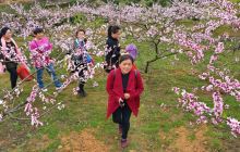 松桃：迎来自驾游客踏春高峰