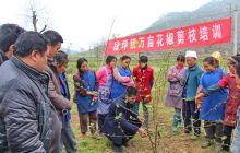 德江县为花椒种植户培训