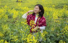 畅想春天      