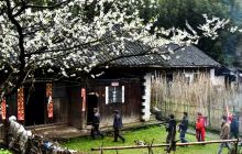 苗族民俗“保斗咱”