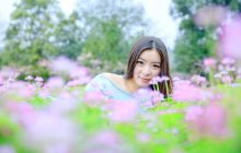 紫云英花语