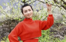 春风桃李花开日  蝶舞蜂飞雪枝桠
