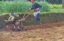 松桃处处忙春耕