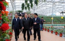 2016年全省第一次项目建设现场观摩会走进铜