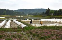 松桃：农民春耕春种忙