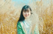 我在这里，等风也等你 