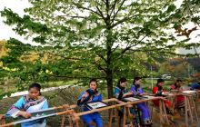 松桃：珙桐花下绣苗绣竞技艺 