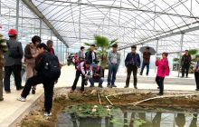 青年之声·百名青年摄影家走进大龙工业园区采风