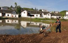“谷雨”时节春耕忙