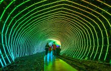 万山矿山公园盛大开园活动进入倒计时