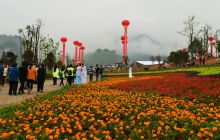 碧江区首个花卉主题文化园“五一”开园迎客