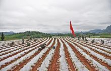 松桃：“接地气”的帮扶