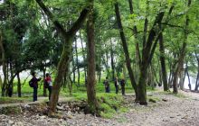 市老年摄影协会在坝黄镇绿色庄园举行