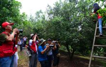 市老年摄影协会走进大龙清水塘村摄影创作