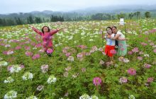 松桃花海醉游客