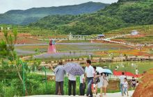 万山区魚塘乡“花千骨”花卉基地开园