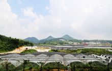万山九丰农业综合体