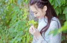 夏天的绿叶心里的风