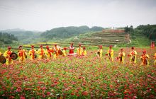 玉屏县亚鱼百花生态休闲农业观光园隆重开业