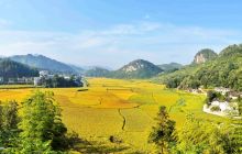 金秋时节喜丰收