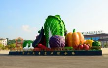 美丽乡村行·万山九丰农业综合体