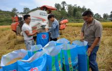 松桃盘石秋分时节喜丰收