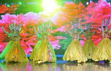 2016“众里寻他”全国青春文学征文大赛颁奖晚会在大龙举行