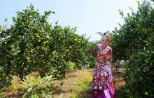 我是唐菲遥，我在碧江九龙感受岁月的流淌