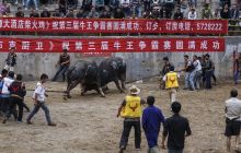 铜仁市举办斗牛比赛