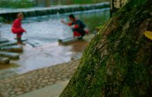 我是杨妍，我在江口云舍共鸣山水的柔情